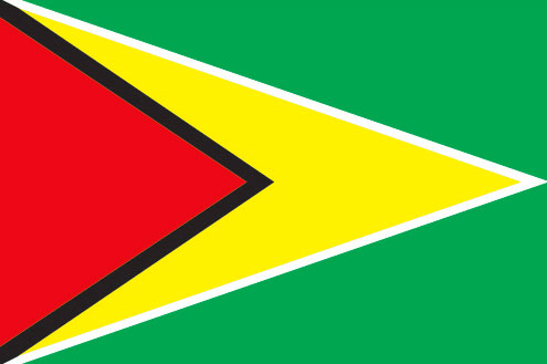 Guyanese Flag