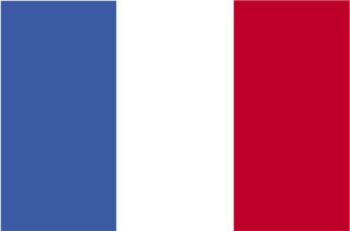 large flag of France image