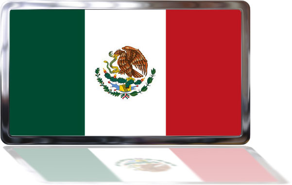 Mexican Flag with reflection