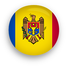 Moldova Flag button round