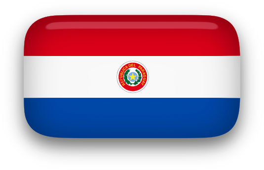 Paraguay Flag clipart