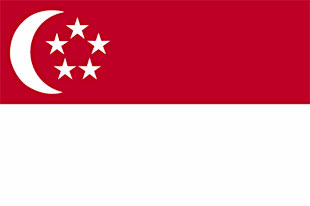 large Singaporean flag