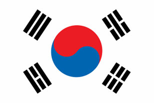 large South Korean Flag