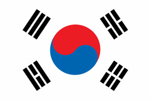 large South Korean Flag