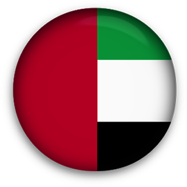 United Arab Emirates flag button round