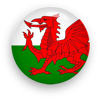 Wales Flag button