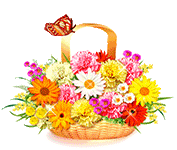 basket of flowers with butterfly