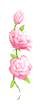 animated pink flowers