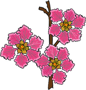 pink flowers on stem