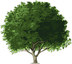 animated tree clipart