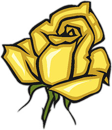 yellow rose