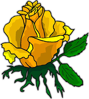 yellow rose