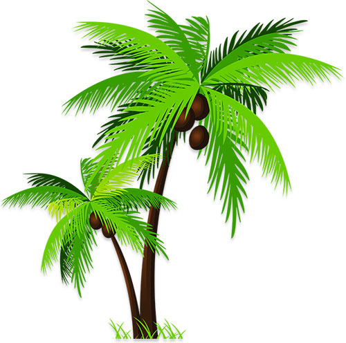 palm tree