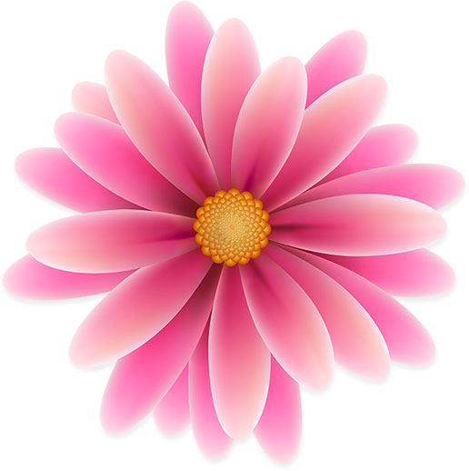 pink flower