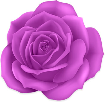 purple rose