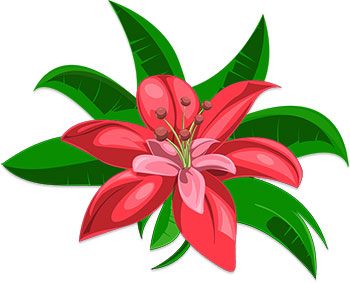 red pink flower