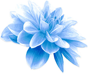 single blue flower