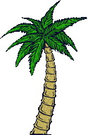 dark palm tree