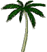 dancing palm tree