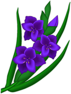 deep purple flowers