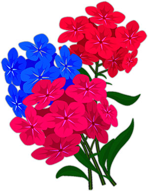 blue and red flowers