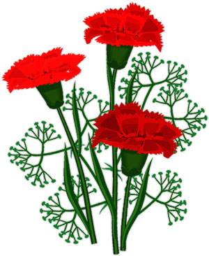 red carnations