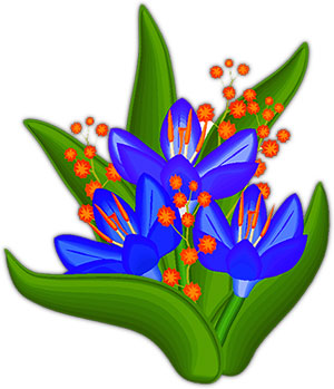 blue and orange flowers