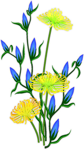 blue and yellow flowers