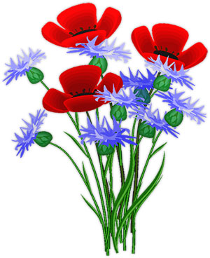 blue and red flowers