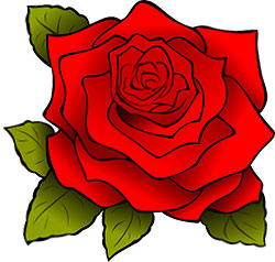 single red rose