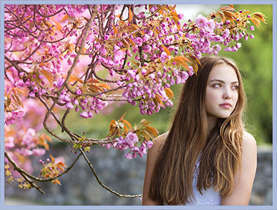 spring flowers