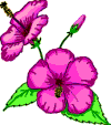 flower image - chinaros transparent gif