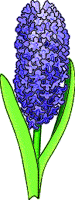 blue flower clipart