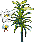 lily with bee animation
