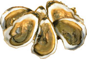 oysters on the half shell