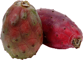 prickly pears