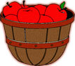 bushel of apples on white jpg file