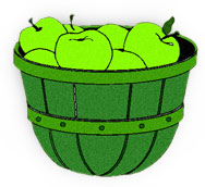 bushel of green apples