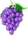 purple grapes