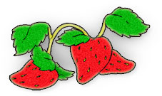 strawberries