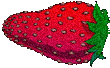 strawberry transparent