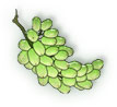 bunch of white grapes