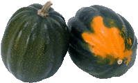 acorn squash