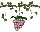 grapes animated