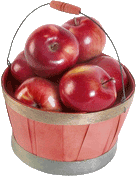 red apples in a basket