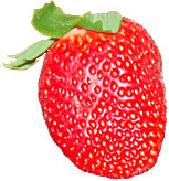 single strawberry