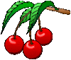 weg graphic 3 cherries