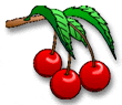 cherries on white bg