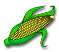 corn clipart