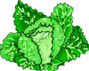 cabbage gif file with transparent background